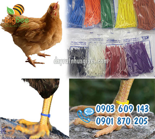 Dây rút nhựa cột chân gà đủ màu giá rẻ