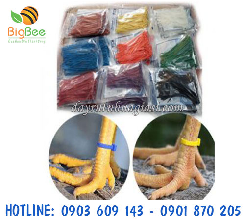 Dây rút nhựa 1 tấc cột chân gà