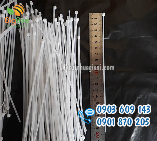 Dây rút nhựa trắng 20cm (2 tấc) giá sỉ