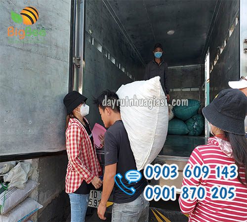 Dây rút nhựa sỉ giá tốt giao hàng tận nơi