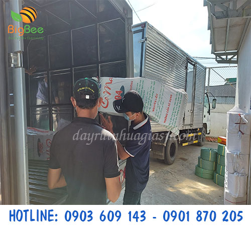 Thu Hồng đi giao đạn xỏ nhựa cho khách sỉ