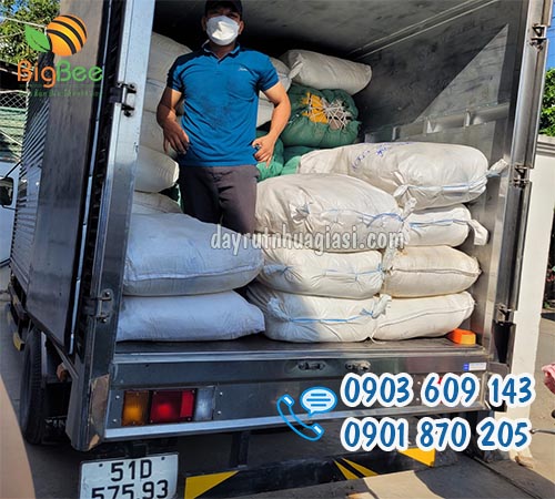 Giao dây rút nhựa cho khách sỉ, freeship TP.HCM