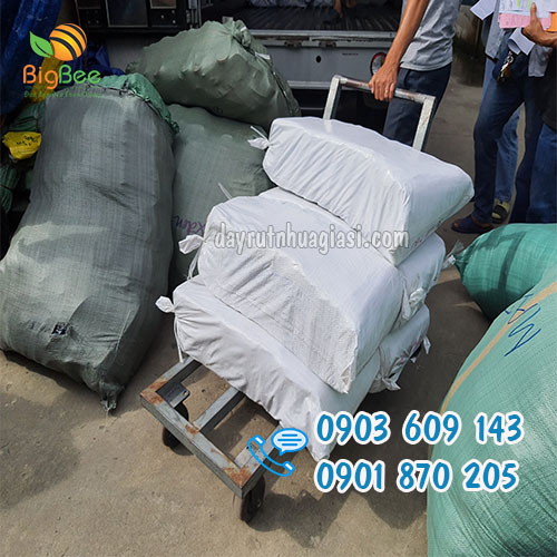 Giao hàng nhanh chóng, freeship HCM