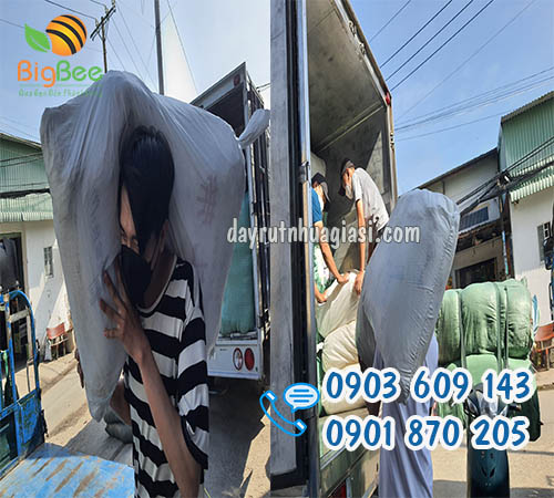 Dây rút nhựa bỏ sỉ giá rẻ cho các khách sỉ