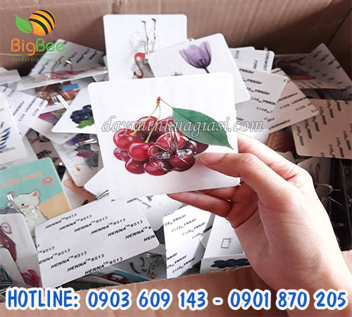 Mua móc dán tường giá sỉ rẻ HCM