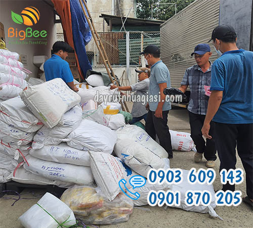 Sỉ số lượng lớn dây rút nhựa giá rẻ tại TP.HCM