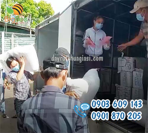 Số lượng lớn dây rút nhựa giá rẻ