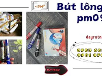 Hộp 10 bút lông dầu Thiên Long PM-09 giá rẻ