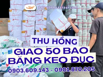 Kho Sỉ Thu Hồng xuất đơn lớn 50 bao băng keo đục