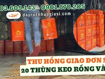 Xuất kho 20 thùng keo Rồng Vàng P-66 nhanh chóng uy tín