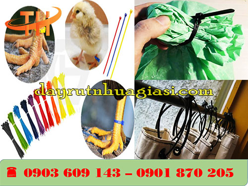 Ứng dụng của dây rút nhựa