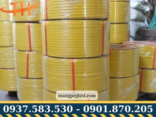 Dây đai nhựa PP 12mm