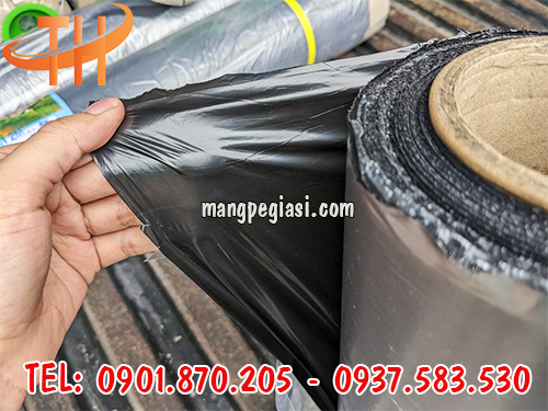 Màng phủ nông nghiệp đục lỗ sẵn