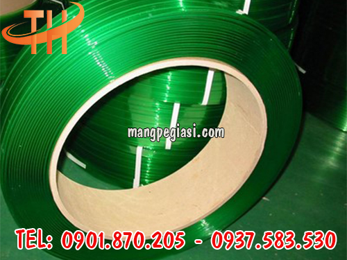 Dây đai pet giá rẻ