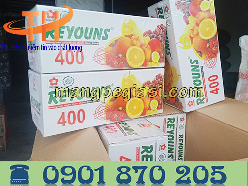 Cuộn màng bọc thực phẩm Reyouns 30cm * 400y