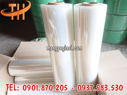 Màng pe số lượng lớn