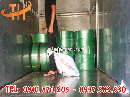 Dây đai pet giá rẻ