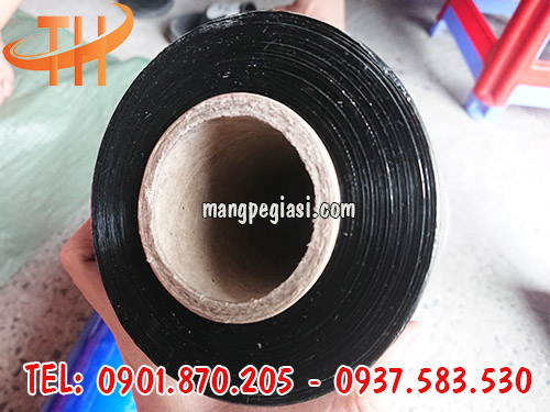 Màng pe chất lượng cao