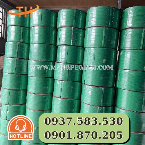 Dây đai nhựa PP màu xanh lá Dây đai nhựa PP màu xanh lá