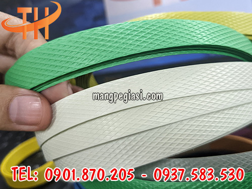 Dây đai nhựa 1f2