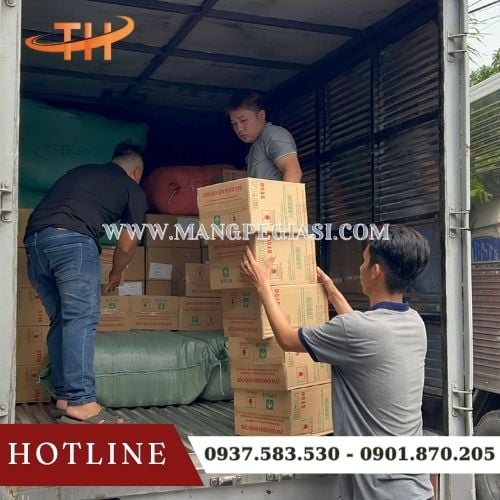 Kho sỉ Thu Hồng giao sỉ màng bọc thực phẩm chính hãng giá rẻ Kho sỉ Thu Hồng giao sỉ màng bọc thực phẩm chính hãng giá rẻ