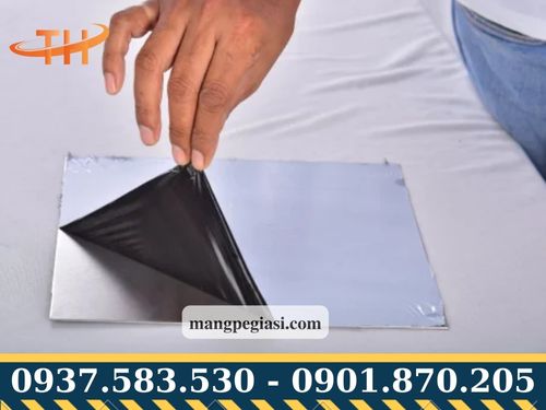 Màng bảo vệ trắng đen