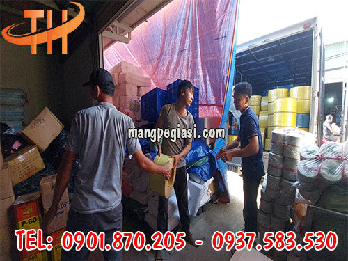 Dây đai nhựa pp giá sỉ