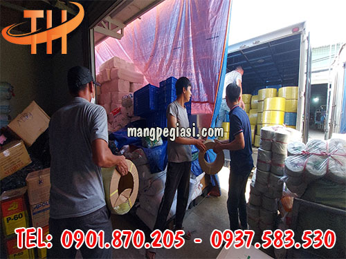 Dây đai nhựa pp giá tại xưởng