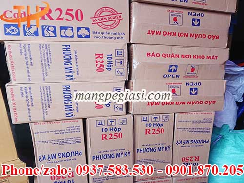 Màng bọc thực phẩm giá rẻ