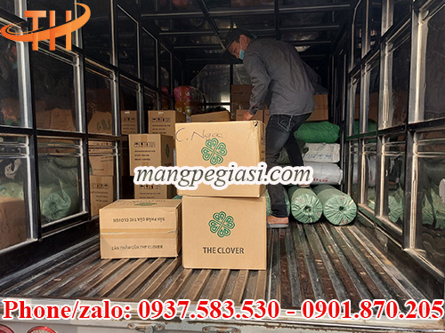 Màng bọc thực phẩm size lớn