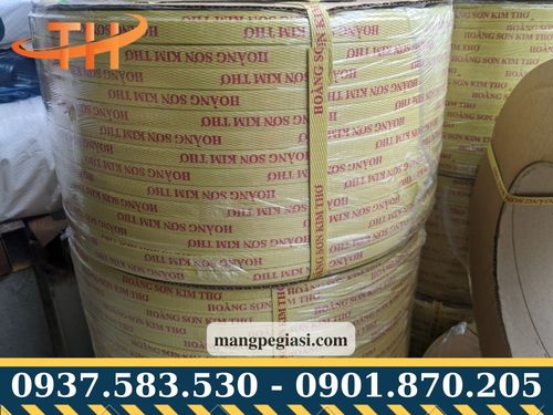 Dây đai nhựa in logo