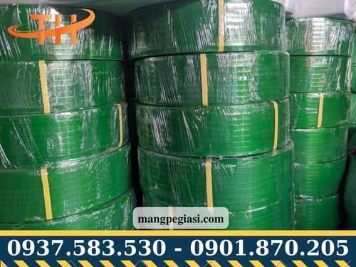 Dây đai nhựa pet