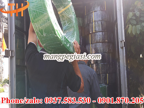 Dây đai pet giá sỉ