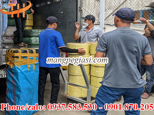 Dây đai nhựa PP 12mm