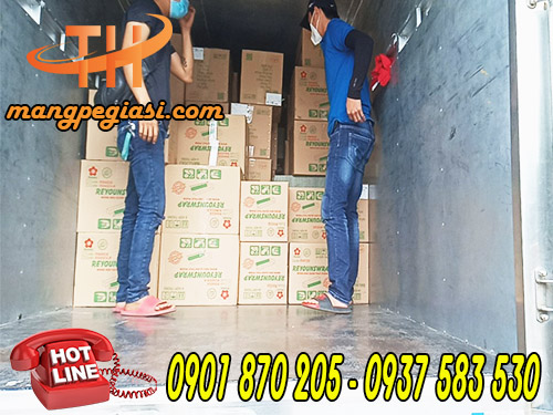 màng bọc thực phẩm giá sỉ tốt