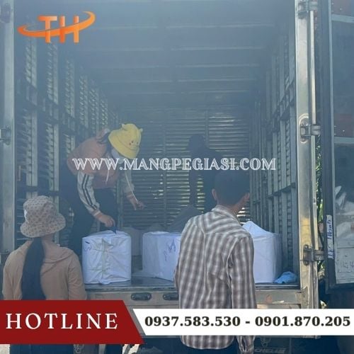 Hoạt động xuất kho giao sỉ băng keo in logo tại Thu Hồng Hoạt động xuất kho giao sỉ băng keo in logo tại Thu Hồng