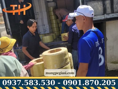 Dây đai nhựa PP 15mm