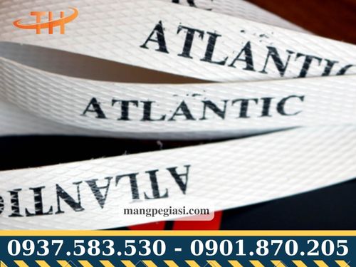 Dây đai thùng carton