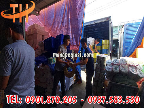 Dây đai nhựa pp 1f4