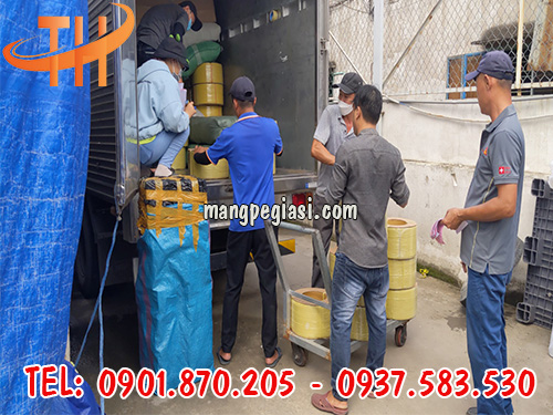 Dây đai nhựa vàng 1f2