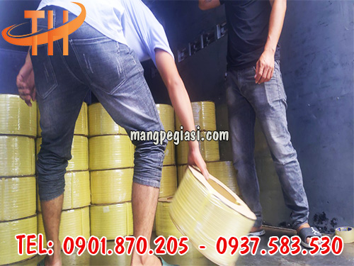 Dây đai nhựa Thái loại 1