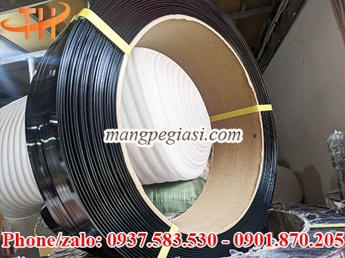 Dây đai pet an toàn