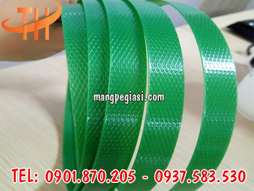 dây đai nhựa