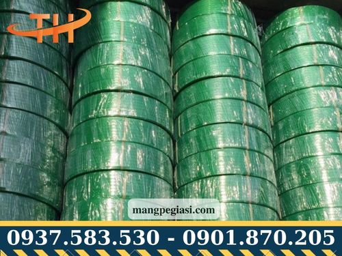 Dây đai pet giá rẻ