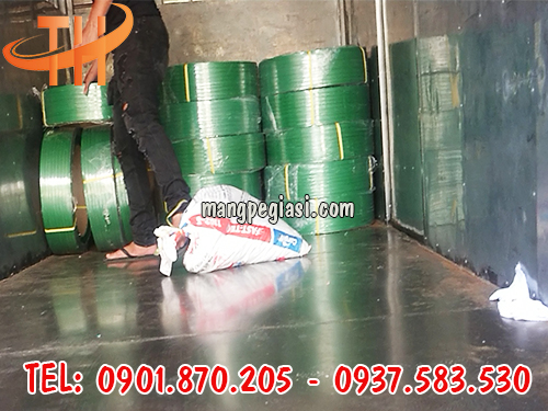 Dây đai pet giá sỉ