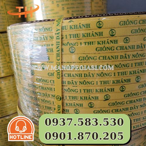 Dây đai PP in logo dùng quảng bá thương hiệu Dây đai PP in logo dùng quảng bá thương hiệu