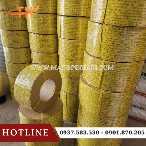 Dây đai PP in logo quảng bá thương hiệu Dây đai PP in logo quảng bá thương hiệu