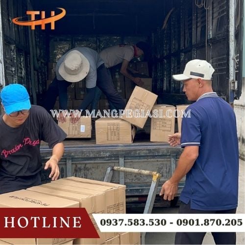 Đi đơn màng PE giá sỉ cho khách mỗi sáng tại Thu Hồng Đi đơn màng PE giá sỉ cho khách mỗi sáng tại Thu Hồng