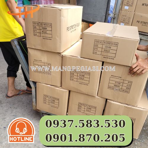 Đội ngũ nhân viên Thu Hồng lên đơn màng PE Đội ngũ nhân viên Thu Hồng lên đơn màng PE