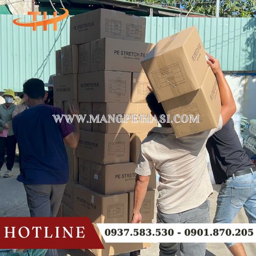 Giao sỉ 500 cuộn màng PE cho khách Giao sỉ 500 cuộn màng PE cho khách
